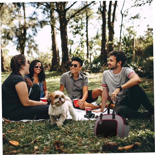 Pet Bag for Dog and Cat Portable Folding Handbag Storage Organizer Easy to Carry Pet Accessories