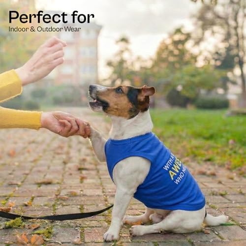 Parisian Pet Dog Tshirt - Embroidered “ Awesome “ Tank Top - Pure Cotton and Lightweight Dog Clothes - Blue Pet Vest - Sleeveless Tee Shirts for Small Dogs Boy