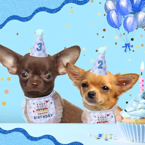 Chicingyou Dog Birthday Outfit Set Lace Bib Number Stickers, Cake, Blue