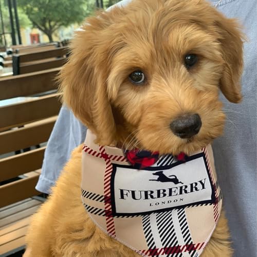 Dog Bandana Furry Designer Fashion Clothes Scarf kercheif for Small Medium and Large Dogs. Funny Parody Gift for Girl or boy Dog Soft Durable Fabric, Adjustable tie-on Style Triangle