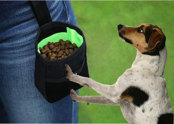 ITODA Dog Treats Training Pouch Waist Bag, Hands-Free Pet Animal Walking Snack Kibble Belt Clip Container Portable Storage Outdoor Food Holder for Small Medium Puppy Doggie