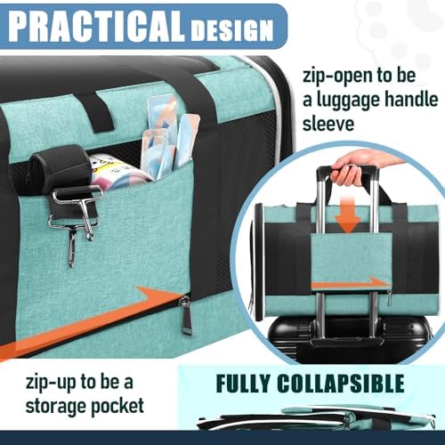 GAPZER Large Cat Carrier Soft, Collapsible Travel Pet Carry Bag, Small Dogs | Big Kitten Cat 20lbs Mainecoon, Top Open Travel Shih-Tzu Pet Kennel, Yorkie Small Dog 10 Pounds, 18x12x12, Durable Cloth Teal