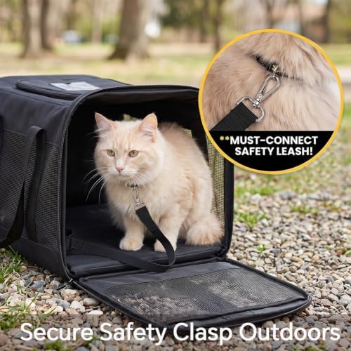 Conlun Cat Carrier Airline Approved, Soft-Sided Dog Carrier with Inner Safety Leash, Pet Transport Carrier for Small-Medium Cats Puppies up to 15 Lbs, Collapsible Travel Kitten Carrier Bag -Gray M | Airline Approved,with Inner Safety Leash,Collapsible ...