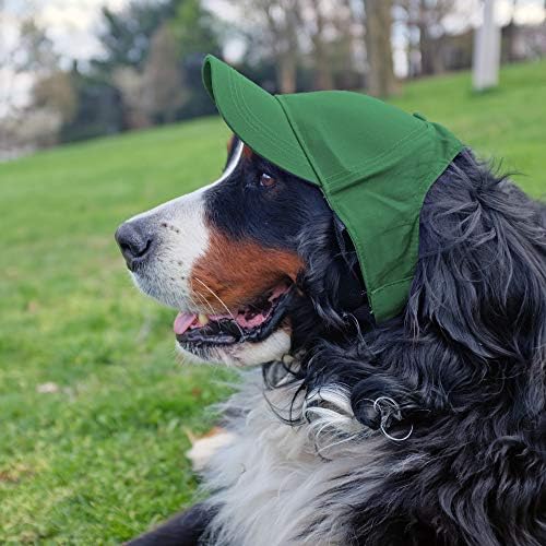 Littlearth Unisex NHL Pet Baseball Hat