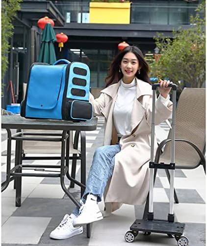 Pet Trolley Case Portable Detachable Universal Wheel Foldable Large Capacity