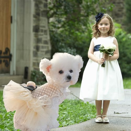FLAdorepet Vintage Camellia Dog Dress Tutu Skirt,Pet Party Outfits Clothes for Small Dogs Girls,Formal Dog Wedding Holiday Dresses Apparel(White Camellia, Medium)