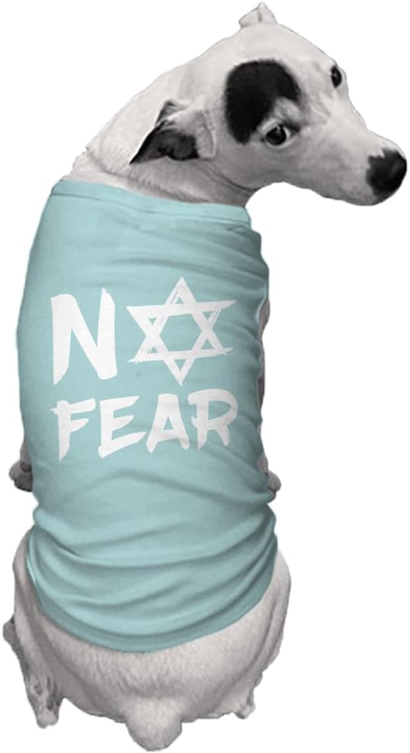 No Fear Star of David - Stand with Israel Dog Shirt (Chill, Medium)
