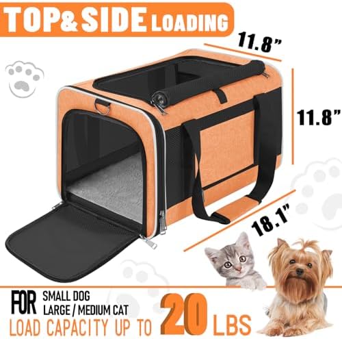 GAPZER Large Cat Carrier Soft, Collapsible Travel Pet Carry Bag, Small Dogs | Large Kitty Cat 20 lbs Maine Coon, Top Load Transport Small Puppy Dog Kennel, Yorkie Little Dog 10lbs, Sturdy Fabric Orange