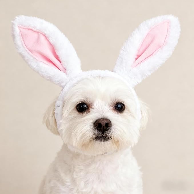 Dog Rabbit Bunny Ear Headband Headwear,Halloween Easter Cat Bunny Costume Outfits for Pet Hair Accessories (Small)