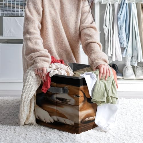 Puppies Dogs Pets Animals Collapsible Storage Bin, Storage Cubes with Handles, Organizer Bin for Home Office Closet Clothes, 10.6 X 10.6 X 10.6 Inches