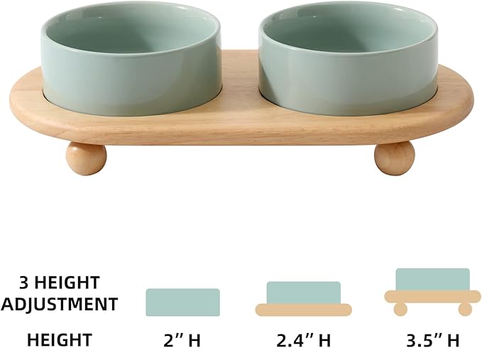 Havniva Ceramic Elevated Cat Food and Water Bowl, Kitty Bowl, Raised Cat Dish, Pet Feeder (5.1 in, 2 x Light Green + Stand)