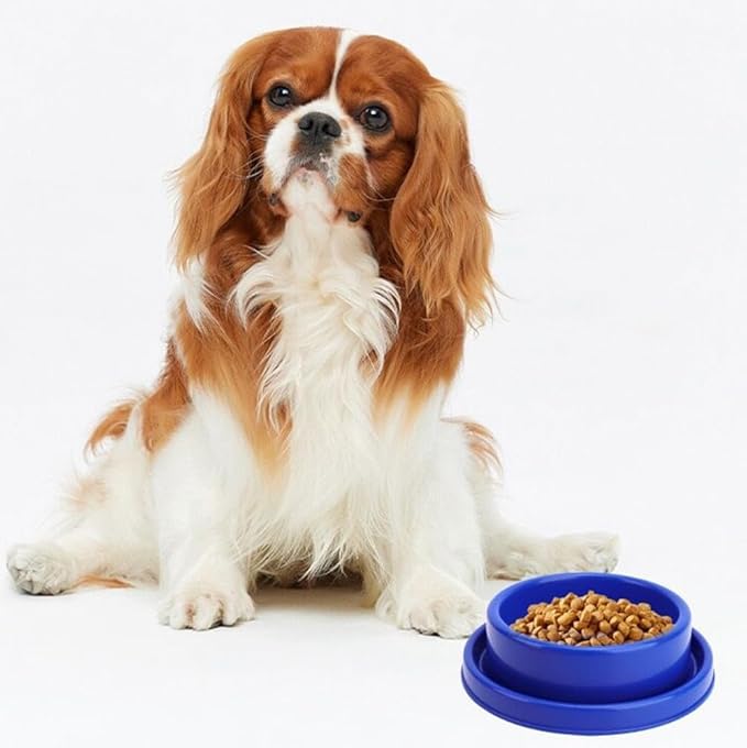 Ants Away Dog Bowl Cat Puppy Food Bowls Round No Spill Eating Feeder for Small Animals Brown S