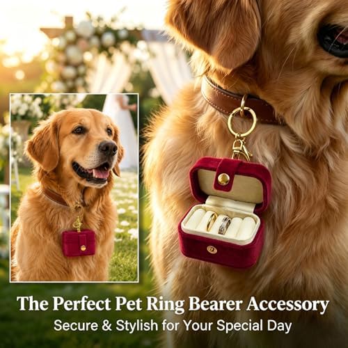 Velvet Dog Collar Ring Bearer Box with Clip-Red