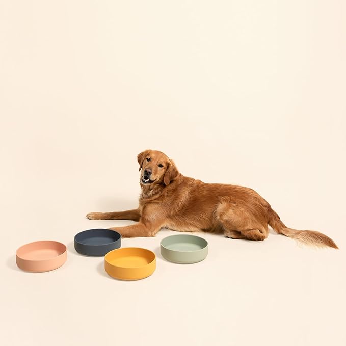 Should We Go? Dog Water Bowl - The Perfect Dish No-Spill, Less Mess Non-Tippable Water & Food Bowl, Pure Silicone with Suction Cup, Fits 8 Cups 9.5" Across x 2.5" Tall, Ideal for All Pets, Large-Sage