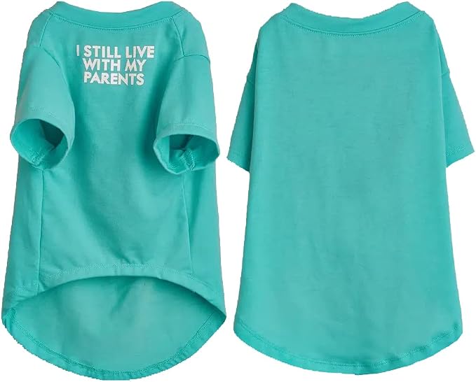 Cute Dog Clothes, T Shirt for Medium and Small Dogs Girl Boy,Puppy.Breathable Soft Dog Costume for Pet Dogs Cats, Pet Pullover Jumper, Cat Clothes (XXL-(19~23lb), Chest~21.5", Aqua)