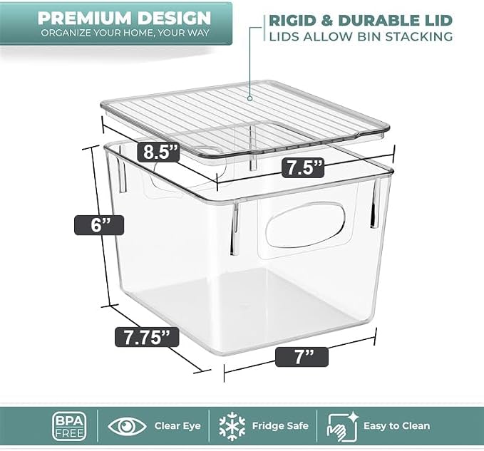 Sorbus Small Storage Containers with Lids - Small Plastic Storage Bins - Toy Organizers and Storage Bin - Clear Containers for Organizing (2 Pack), Medium