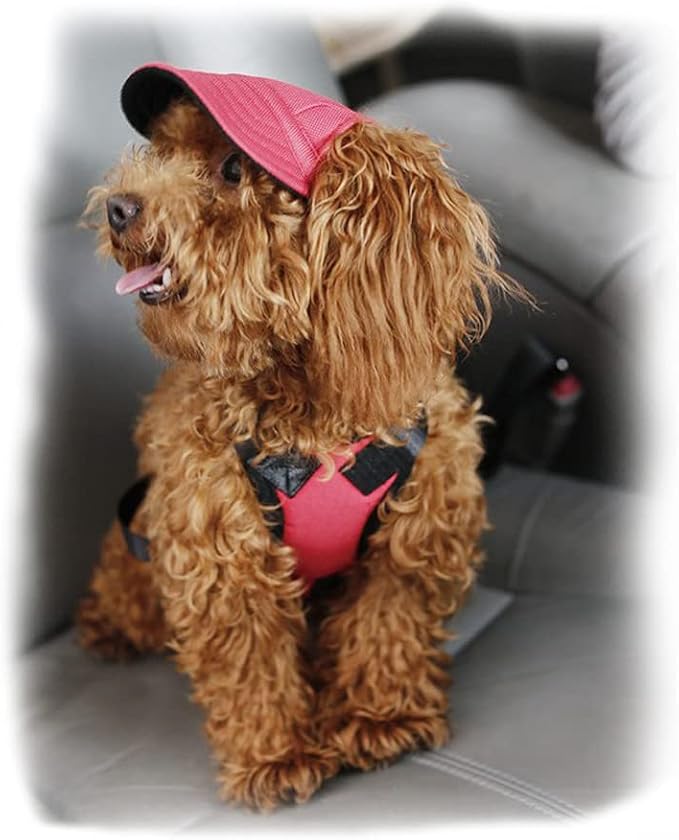 Leconpet Baseball Caps Hats with Neck Strap Adjustable Comfortable Ear Holes for Small Medium and Large Dogs in Outdoor Sun Protection (M, Red)
