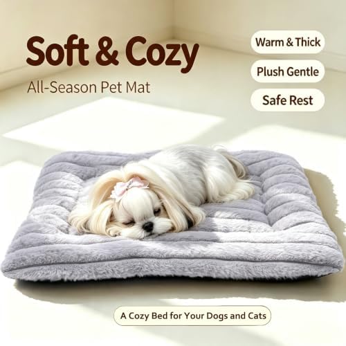 22 Inch Ultra Soft Comfy Pet Bed, Tiny Dog Bed, Washable Anti-Slip Crate Pad Sleeping Cushion Mat for XX-Small Dogs, Indoor Cats & Cat Carrier, Light Gray