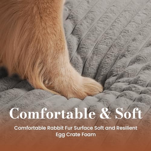 Dog Beds for Large Sized Dog, Orthopedic Foam with Waterproof Lining | Egg crate foam for joint support. Soft plush surface. Non-slip bottom. Removable & machine washable cover. OEKO-TEX certified