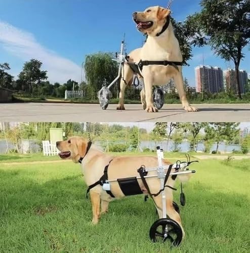 Pet Care Aluminum Large Dog Wheelchair for Paralyzed Back Legs, Adjustable Durable Moving Cart Hind Leg Rehabilitation Assistive Stand Device for Disabled Pet, for Large & Sm
