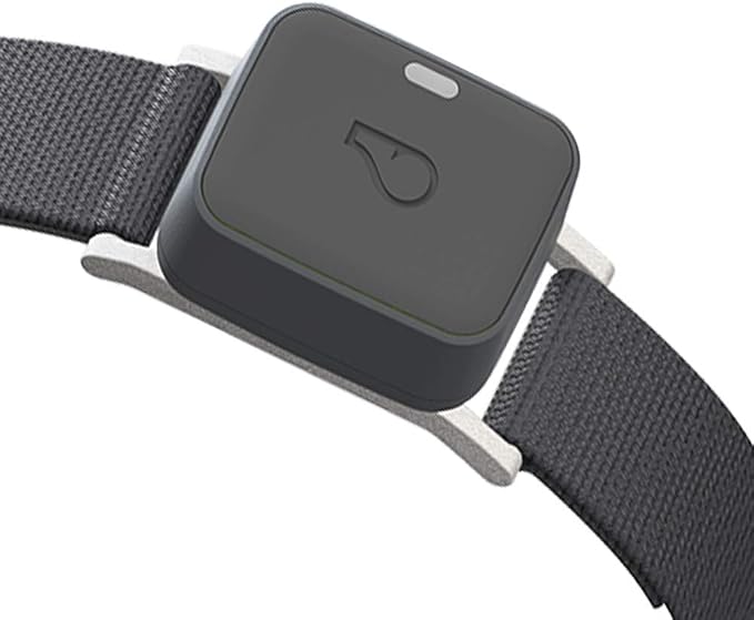 Whistle GO Explore Pet Collar - Twist & Go, Squirrel Grey, Small