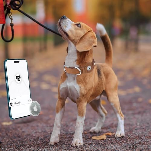 Leather Dog Collar with Airtag Holder - Apple Air Tag Dog Collars - Soft Tracking GPS Pet Collar for Small Medium Large Dogs Breed Puppy (Brown, L, 15"-19" Neck Fit)