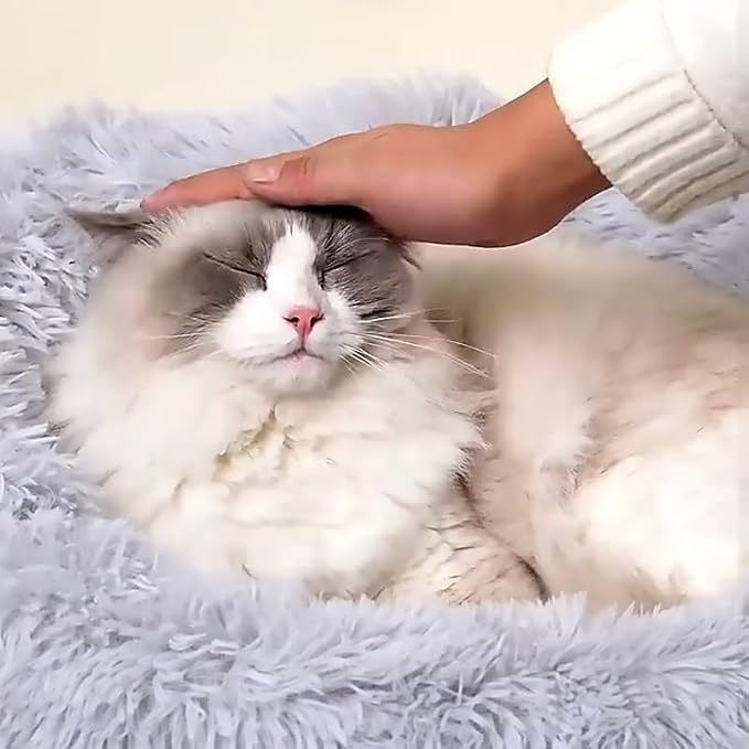 Cat Bed Bunny Bed Kitten Bed Dog Beds for Indoor Cats Pet Beds Cheap Dogs Bed Donut Dog Pillow Large Comfort Cat Pillow Warm for 4Kg Pet