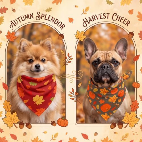 Abbylike 50 Pcs Fall Dog Bandanas Bulk Autumn Pumpkin Bandanas for Dogs Triangle Kerchief Bibs Scarf for Pets Thanksgiving Party Costume Photo Props Accessories, 25 Styles (19.7 x 13.8 x 13.8)