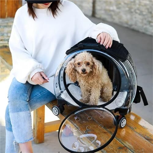 Portable Multifunctional Pet Trolley Case Visible Transport Crate Transparent and Comfortable Basket