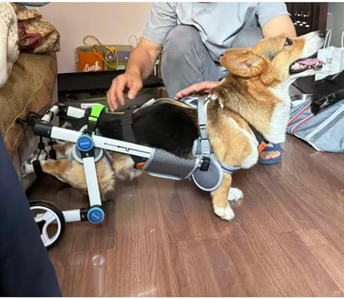 Pet Trailer Dog Bicycle Trailer Paw Cart Durable Aluminum Frame with Soft Abdominal Support Harness for Outdoor Walking Travel & Disabled Pet Mobility Support