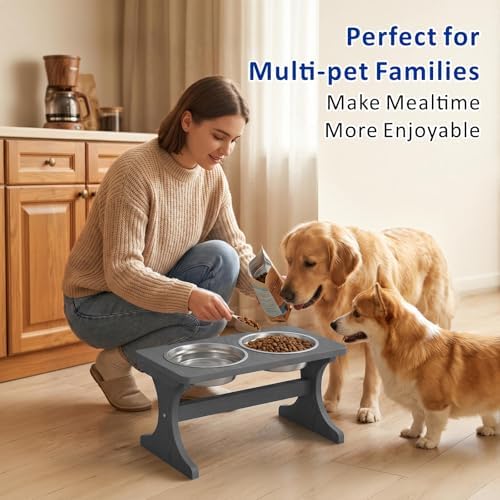 Raised Dog Bowl Stand for Medium Sized Breed, Feeding Station with 35 oz 2 Stainless Steel Bowls & Licking Plate,Dog Food Bowl Gray