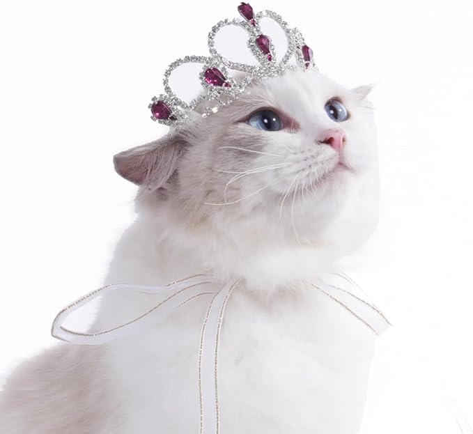 Lovelyshop Princess Pet Tiara Crown for Cats & Dogs, M, Purple