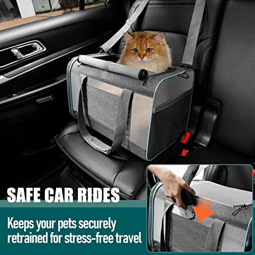 GAPZER Large Cat Carrier Soft, Collapsible Travel Pet Carry Bag, Small Dogs | Large Cats up to 20 lbs+ Maine Coon, Top Load Transport Small Puppy Dog Crate, Chihuahua Mini Dog 10lbs, Sturdy Mesh Grey