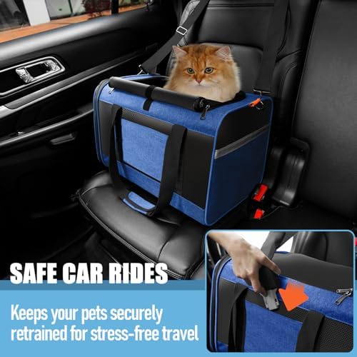 GAPZER Large Cat Carrier Soft, Collapsible Travel Pet Carry Bag, Small Dogs | Large Kitty Cat 20 lbs Maine Coon, Top Load Transport Small Puppy Dog Kennel, Yorkie Little Dog 10lbs, Sturdy Fabric Blue