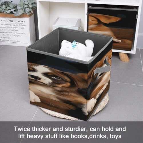 Puppies Dogs Pets Animals Collapsible Storage Bin, Storage Cubes with Handles, Organizer Bin for Home Office Closet Clothes, 10.6 X 10.6 X 10.6 Inches