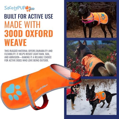 Blaze Orange Dog Vest. Reflective High Visibility in Hunting & Wooded Areas