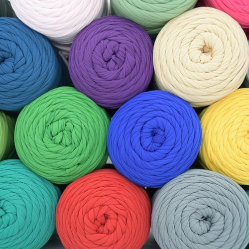 2 Pack Tshirt Yarn for Crochet,Apple Green T Shirt Soft Elastic Fabric Chunky Thick T-Shirt Crochet Yarn for Crocheting Knitting Beginner Hand Knitting Bag/DIY Craft/Home Decor 2 * 400G-Apple Green