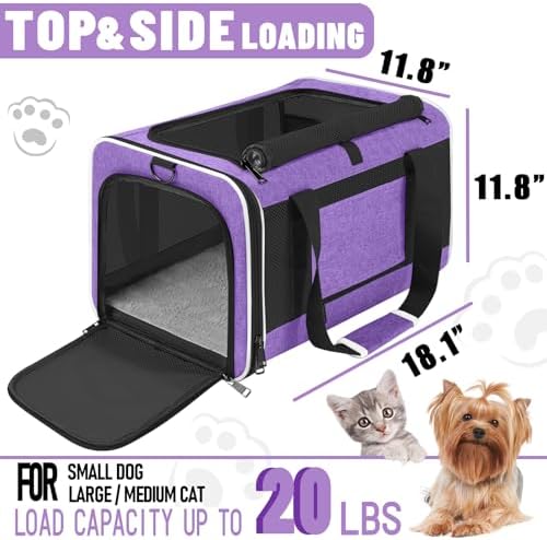 GAPZER Large Cat Carrier Soft, Collapsible Travel Pet Carry Bag, Small Dogs | Large Cats up to 20 lbs+ Maine Coon, Top Load Transport Small Puppy Dog Crate, Chihuahua Mini Dog 10lbs, Sturdy Fabric Pueple