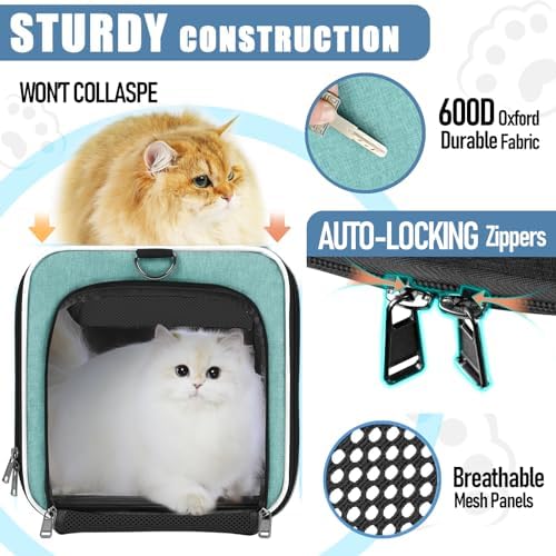 GAPZER Large Cat Carrier Soft, Collapsible Travel Pet Carry Bag, Small Dogs | Big Kitten Cat 20lbs Mainecoon, Top Open Travel Shih-Tzu Pet Kennel, Yorkie Small Dog 10 Pounds, 18x12x12, Durable Cloth Teal