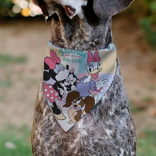 Disney Pet Bandana Slide On Slip Through