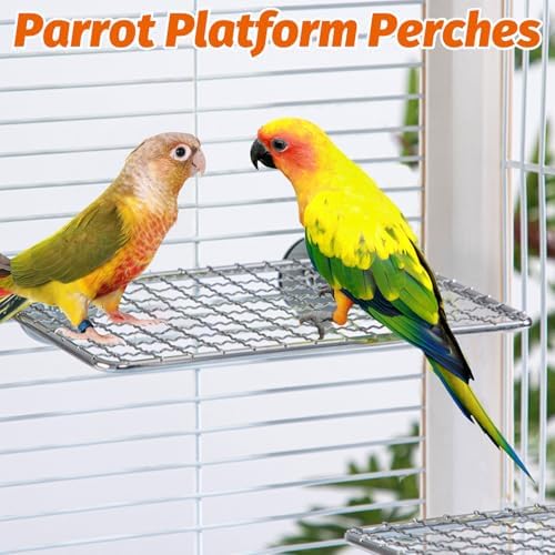 BNOSDM Bird Drinking Device and Parrot Shelf Training Stand for Budgies, Conures, Lovebirds