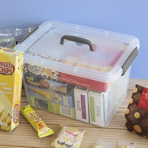 Farmoon 12 Quart Clear Latch Storage Bin with Lid and Grey Handle, 1 Pack