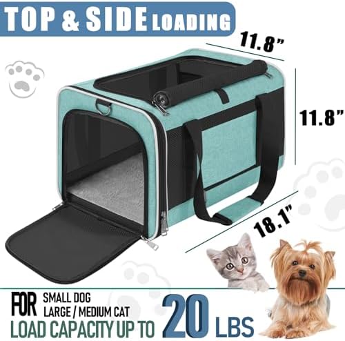 GAPZER Large Cat Carrier Soft, Collapsible Travel Pet Carry Bag, Small Dogs | Big Kitten Cat 20lbs Mainecoon, Top Open Travel Shih-Tzu Pet Kennel, Yorkie Small Dog 10 Pounds, 18x12x12, Durable Cloth Teal