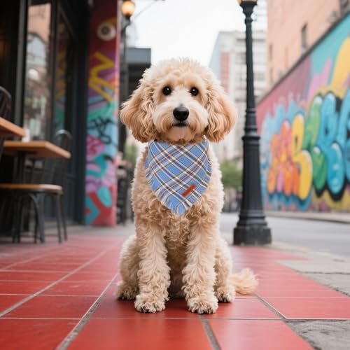 ADOGGYGO Dog Bandana Boy, Blue Plaid Cotton Scarf with Fringe, Small
