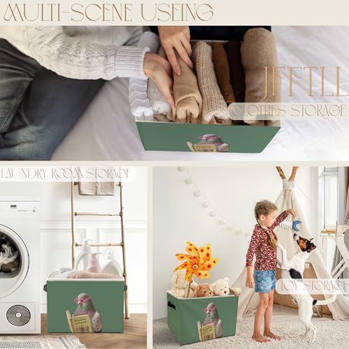 Funny Pigeon Bathroom Storage Bins Box, Funny Bathroom Decor, Birds Lover Gift Storage Basket Laundry Hamper with Handle for Bath Room Clothes Vanity Undersink Home Organization