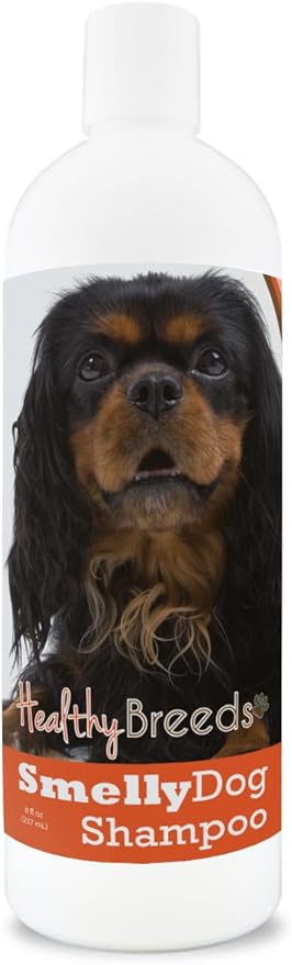 Healthy Breeds English Toy Spaniel Smelly Dog Baking Soda Shampoo 8 oz