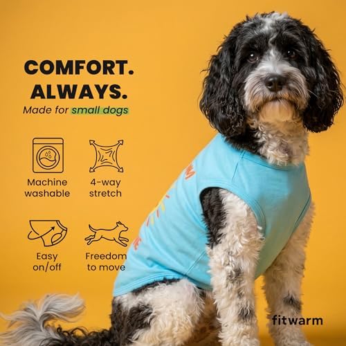 Fitwarm You are My Sunshine Dog Shirt, Tropical Summer Clothes for Small Dogs Boy Girl, Funny Pet Outfit, Blue, Yellow, Medium