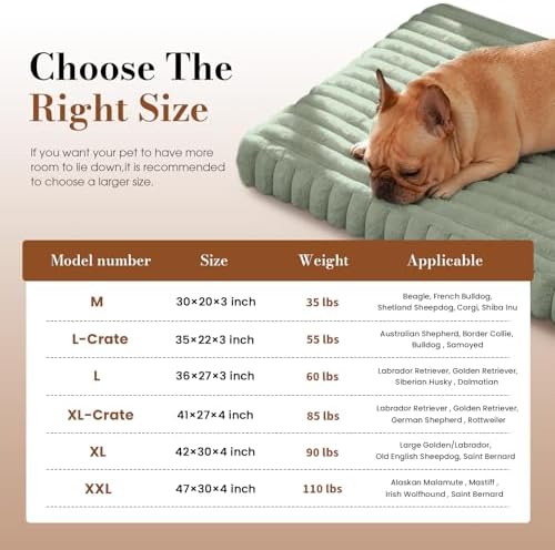 Extra Large Dog Bed Orthopedic Foam with Waterproof Lining | Egg crate foam for joint support. Soft plush surface. Non-slip bottom. Removable & machine washable cover. OEKO-TEX certified