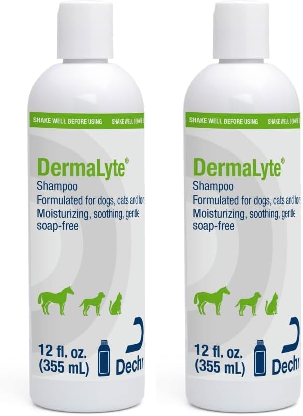 Shampoo, 12 Ounce (Pack of 2)