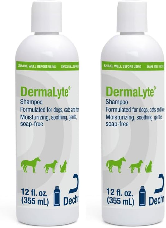 Shampoo, 12 Ounce (Pack of 2)